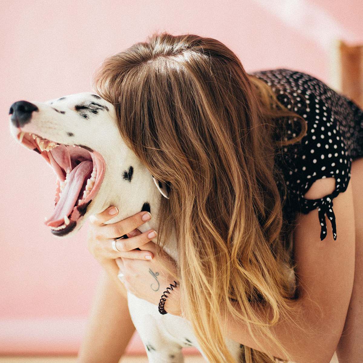Woman hugging a dalmation