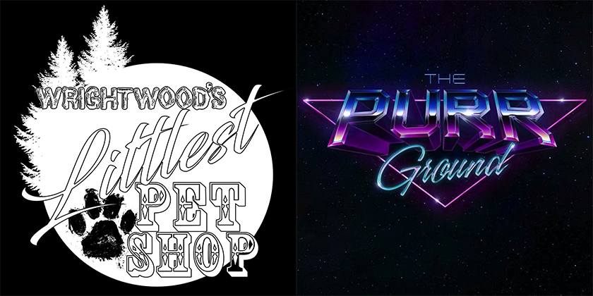 Wrightwood's Littlest Pet Shop & The Purrground Cat Arcade & Animal Rescue