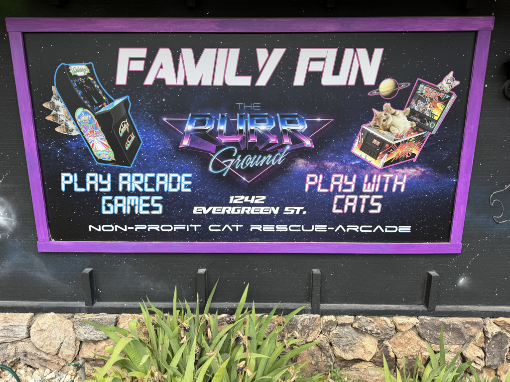 Family fun at the cat arcade